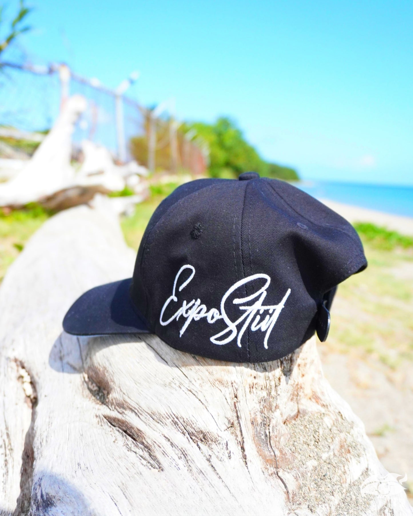 Gorras 02 “EXPO STIIL”
